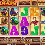 coyote crash slot
